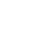 instagramLogo
